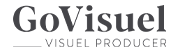 Go Visuel Logo